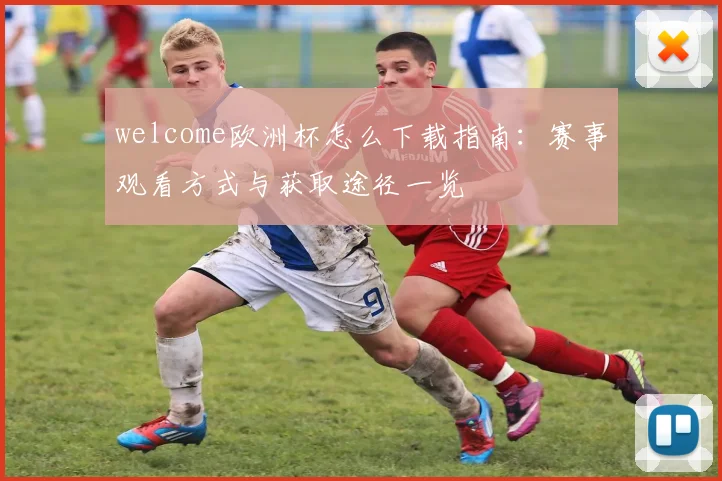 welcome欧洲杯怎么下载指南:赛事观看方式与获取途径一览
